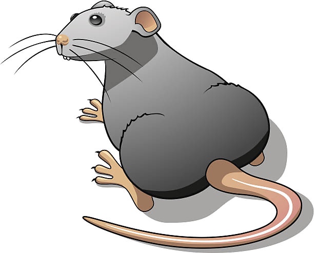 Blood glucose and red&nbsp;light